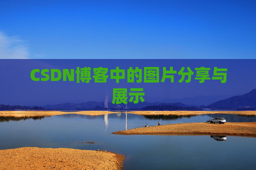 CSDN博客中的图片分享与展示